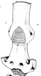 L_W12c2409 A12.0030 J729 pp